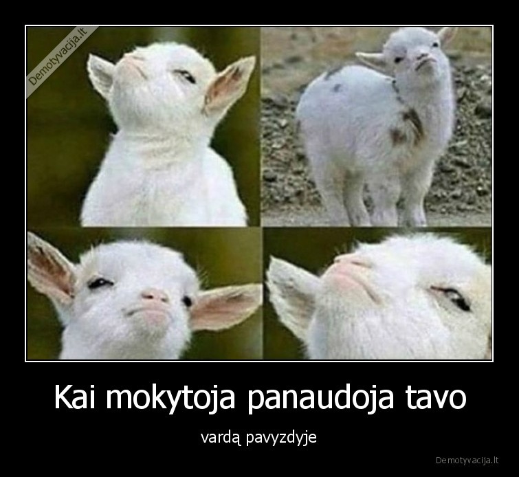 pavyzdys,mokytoja,mokykla,vardas