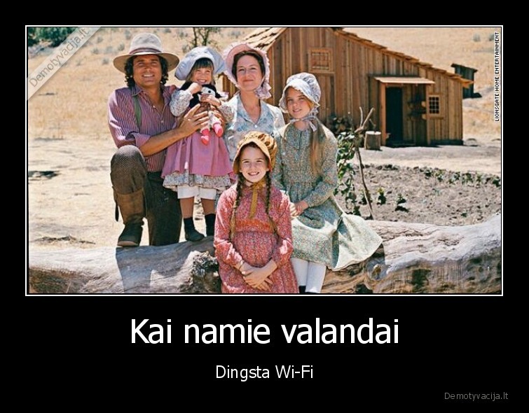 wi, fi,internetas,laukiniai