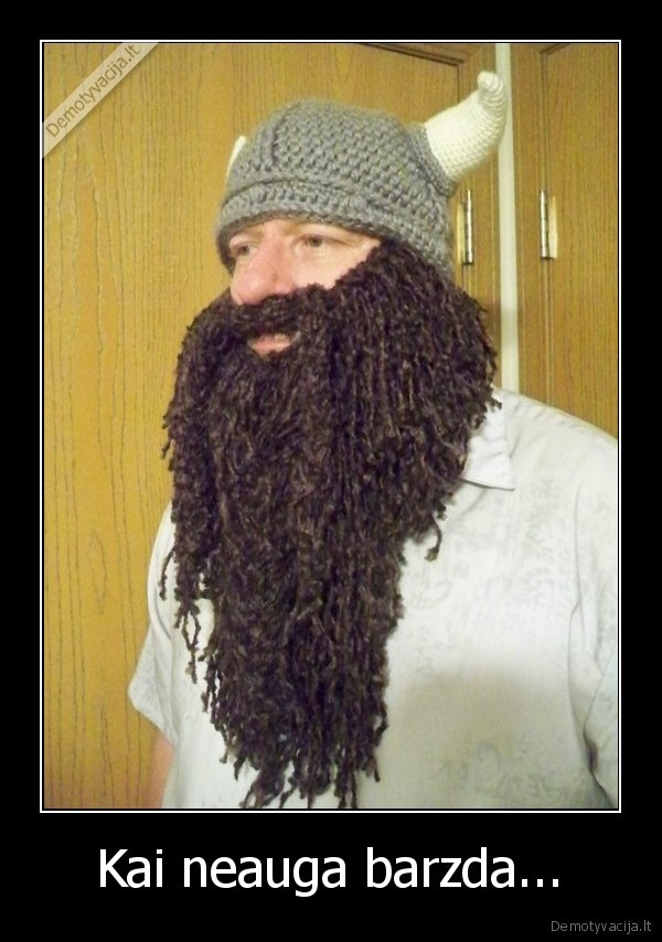 barzda,kepure,dovana,vyras,vikingas,siulai,vyriskas, pasididziavimas