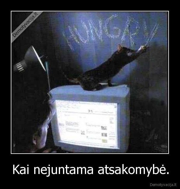 Kai nejuntama atsakomybė.