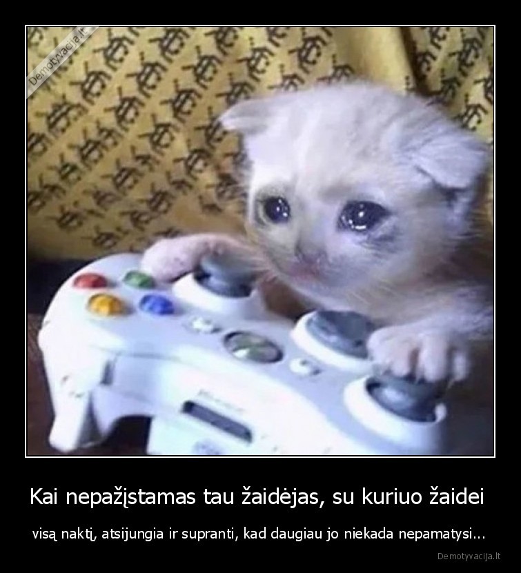 zaidimai,xbox,playstation,zaidejas