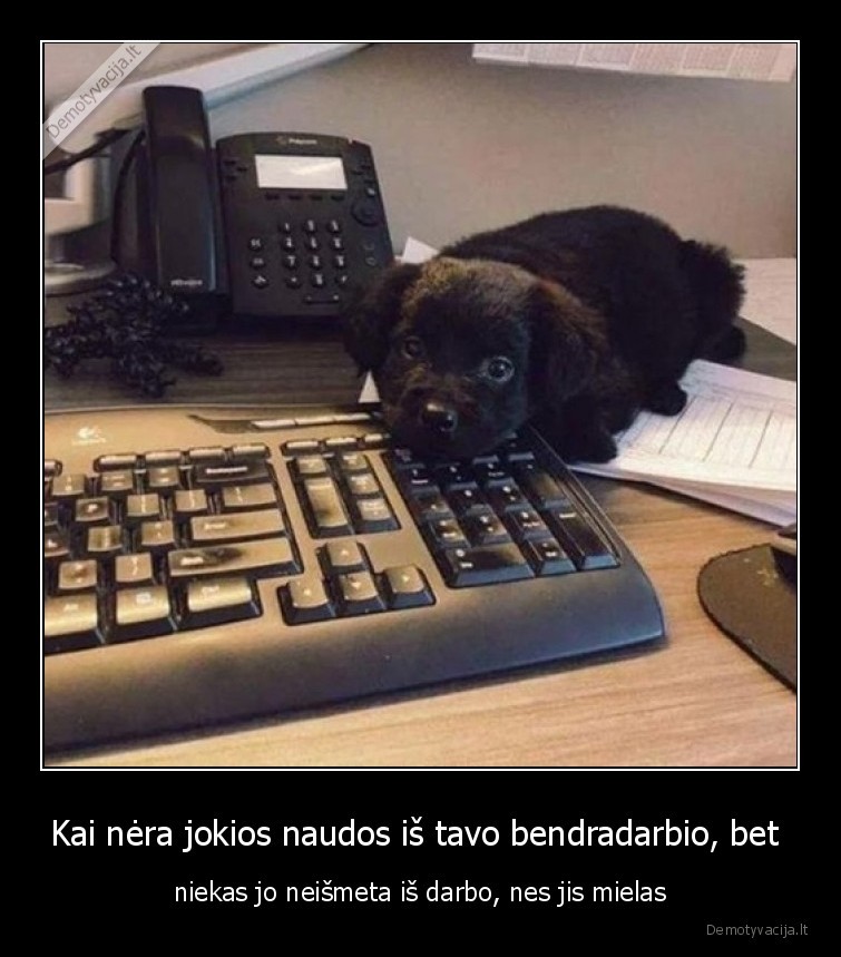 mielas,suo,ofisas,darbas