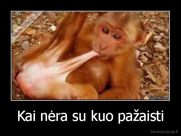 Kai nėra su kuo pažaisti