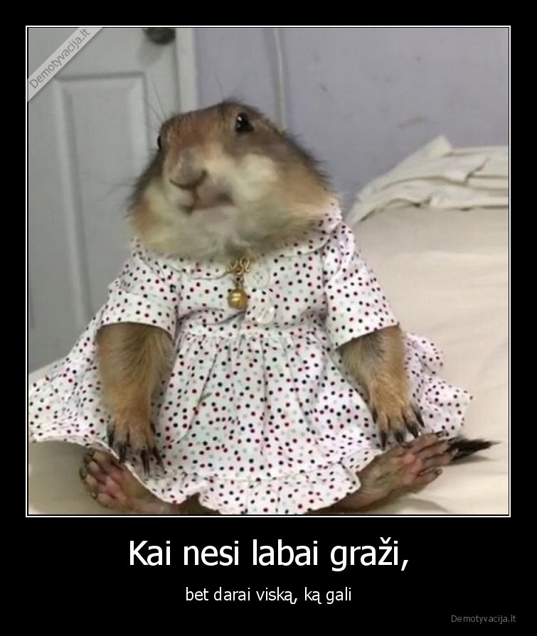 grazi,negrazi,stengtis,suknele