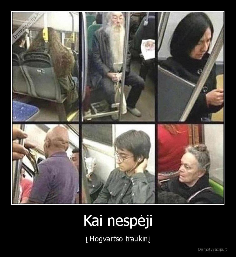 hogvarts,haris, poteris,zmones,panasu