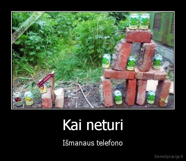 angry, birds,realybeje,plytos