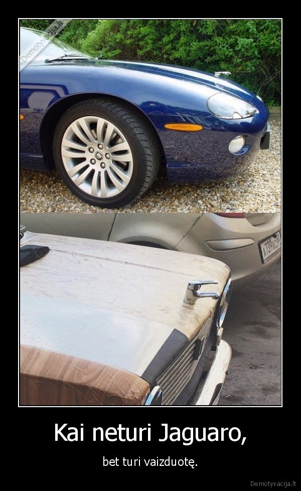 jaguaras,vaizduote,kranas