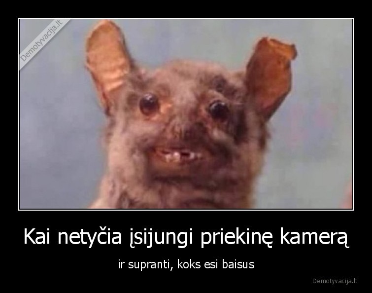 kamera,telefonas,baisus