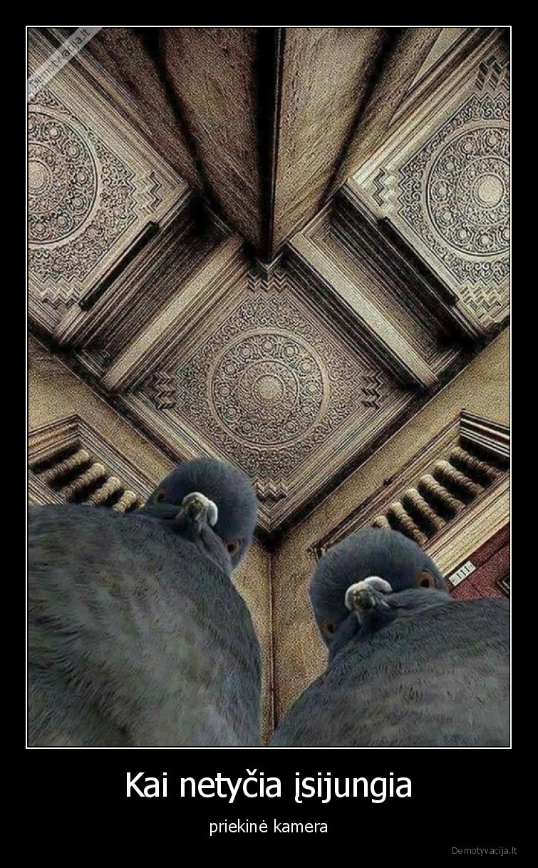 kamera,priekine,isijungia,netycia,kai