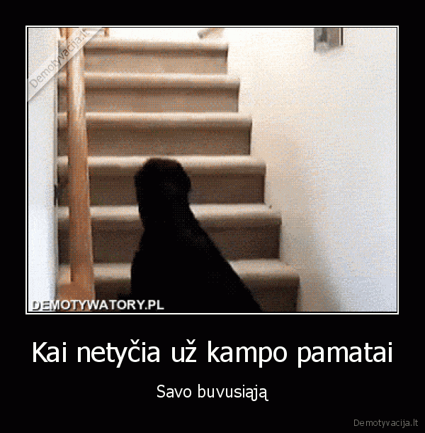 buvusi, mergina,buves, vaikinas,ex