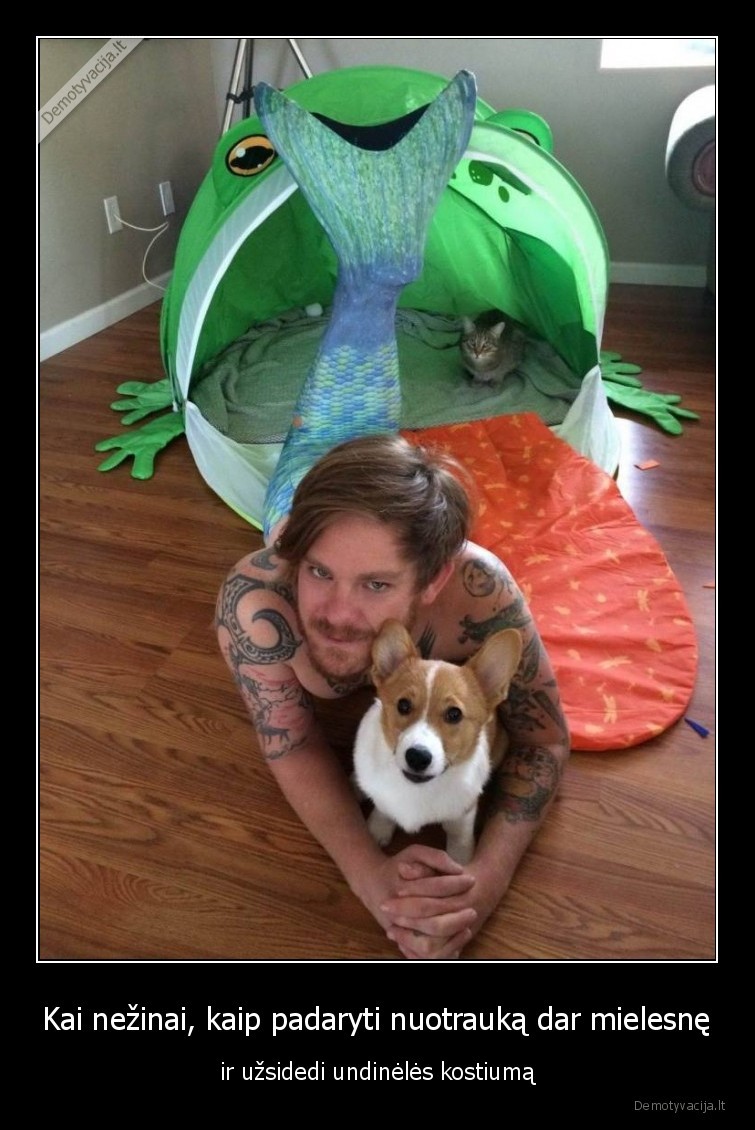 katinas,suo,miela,undine