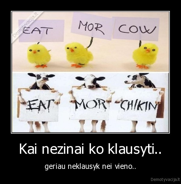 Kai nezinai ko klausyti..