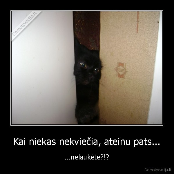 Kai niekas nekviečia, ateinu pats...