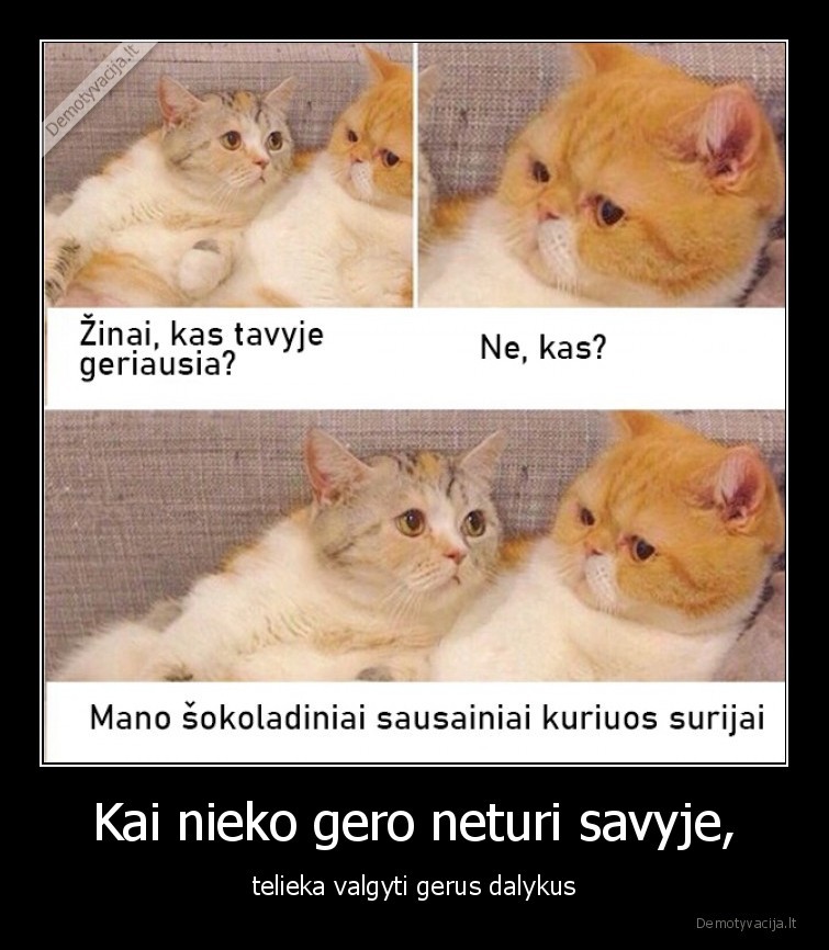 geras,sausainiai,katinai,katinas,meile