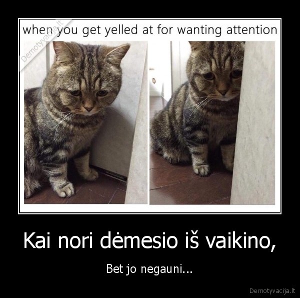 Kai nori dėmesio iš vaikino,