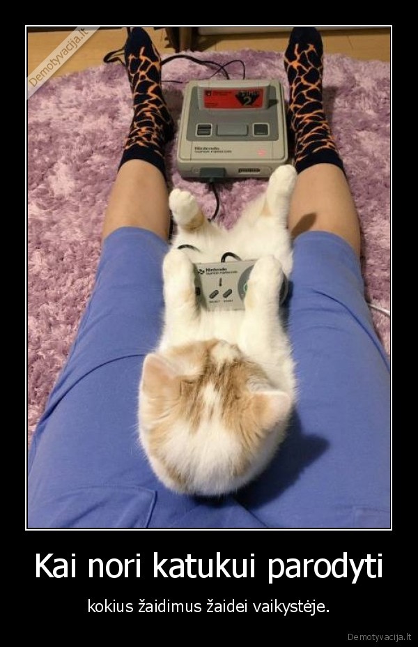 zaidimai,katukas,katinas,kate