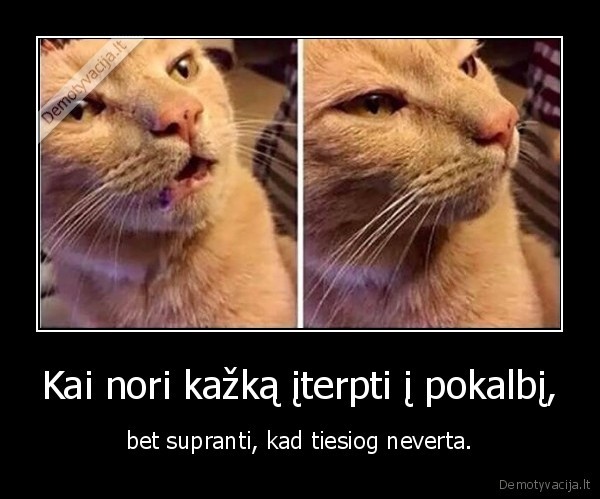 iiterpimas, i, pokalbi,neverta, krc