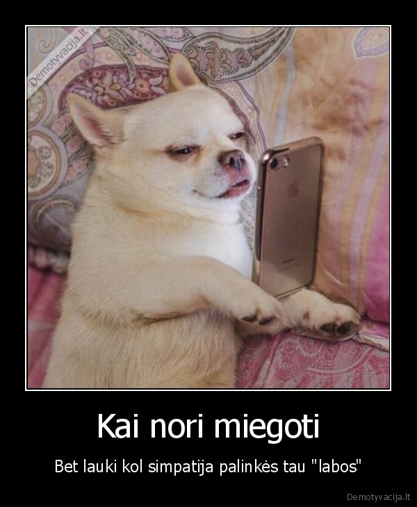labos, nakties,miegas
