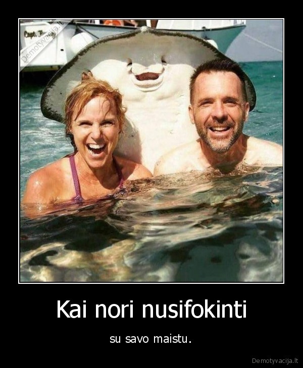 zuvis,maistas,nuotrauka