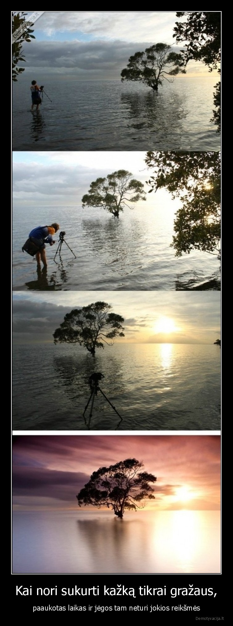 jegos,laikas,grazu,nuotrauka,fotografija
