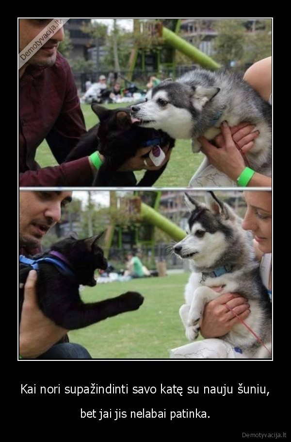 kate, ir, suo,susipazinimas