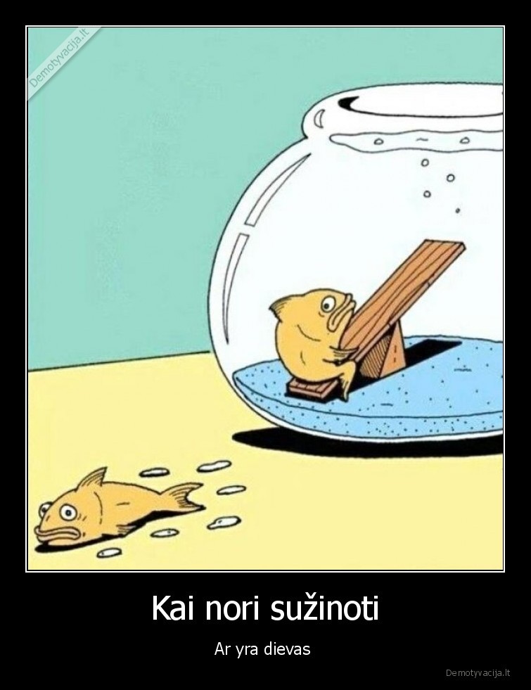 zuvys,akvariumas,zuvis