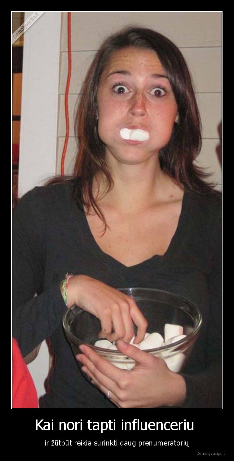 influenceris,zefyrai,vlogeris