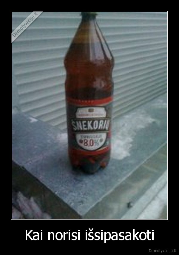 alus, pjanke, snekoriu, pokalbis, girtas, pahmielas, pyva, pyvo, piva, pivo, nissan