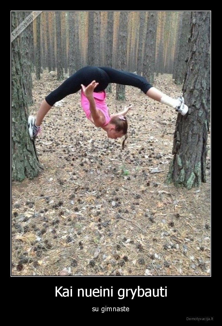 gimnaste,grybai,miskas