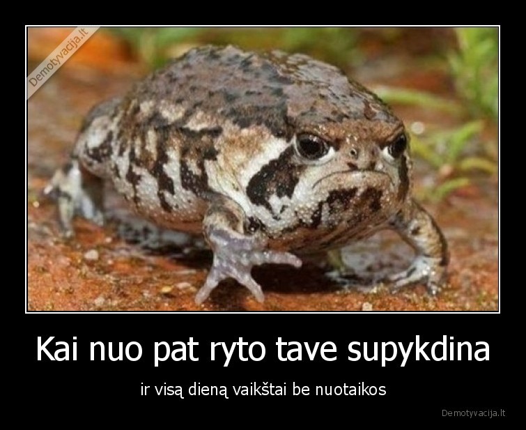 rupuze,nuotaika,supykde,pikta