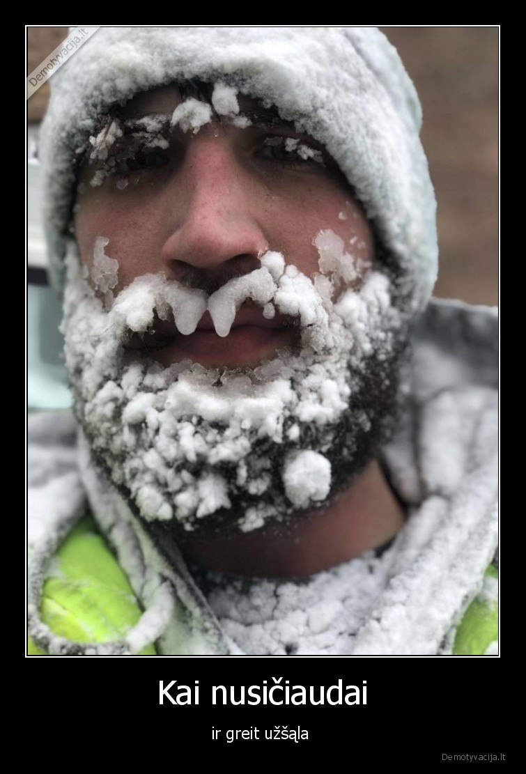 uzsalo,barzda,saltis