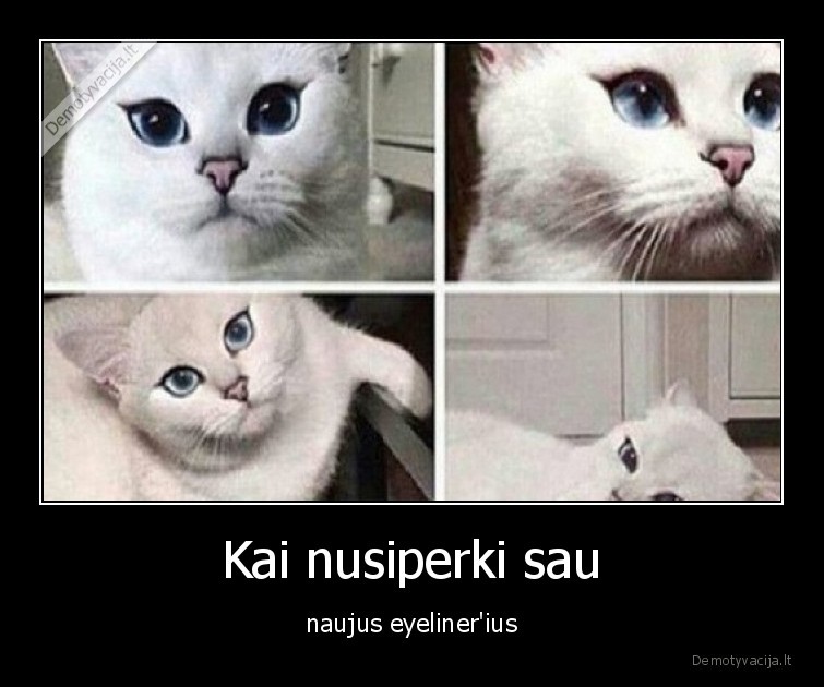 merginos,katinas,pasidaze,eyeliner