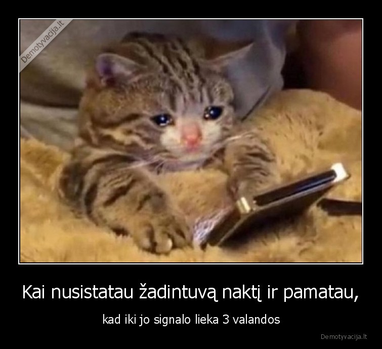 miegas,naktis,noriu,daugiau