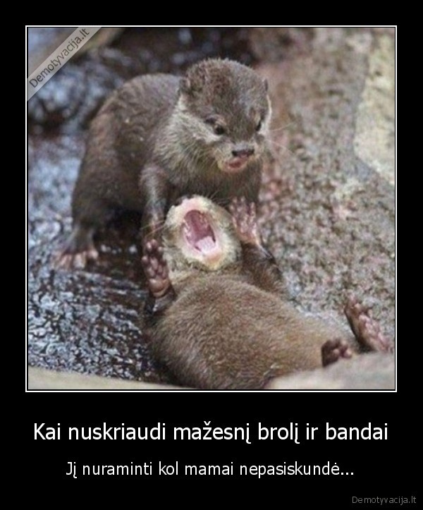 mazas, brolis,broliukas,verkia