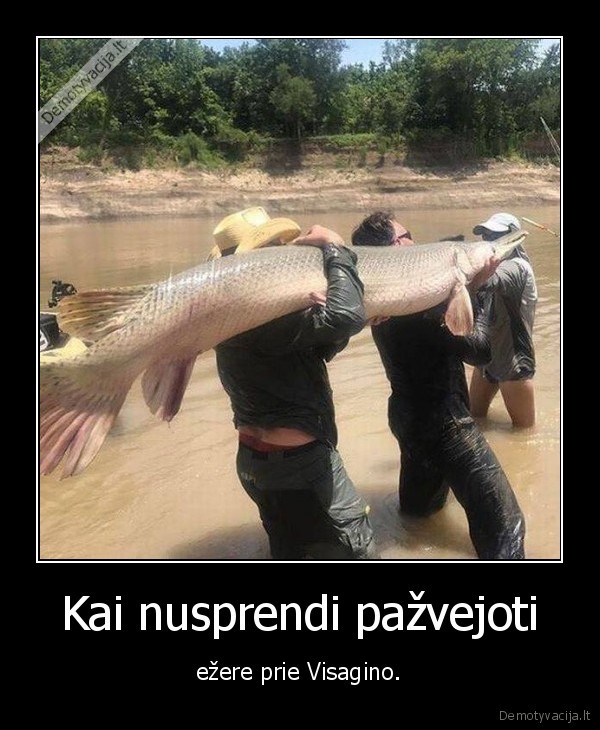 visaginas,a, tomine, elektrine,radiacija,zuvis