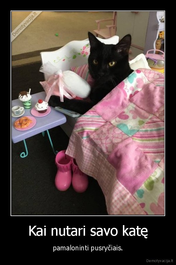 kate,katinas,pusryciai