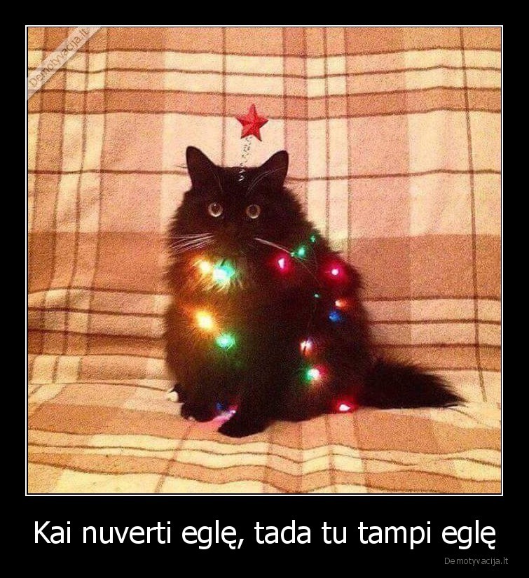 Kai nuverti eglę, tada tu tampi eglę