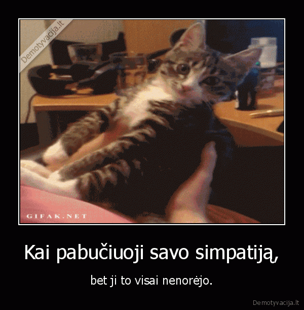 simpatija,kate,katinas,vaikinas,vyras,bucinys