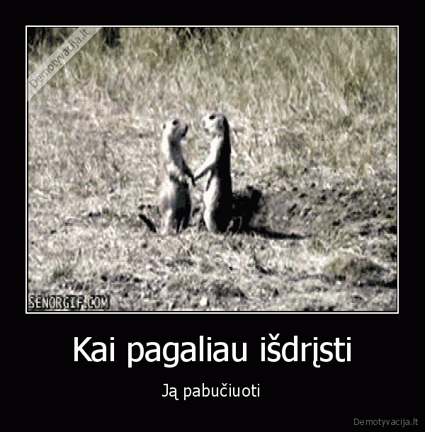 pirmasis, bucinys,kuklus, bucinys,juokingas, bucinys