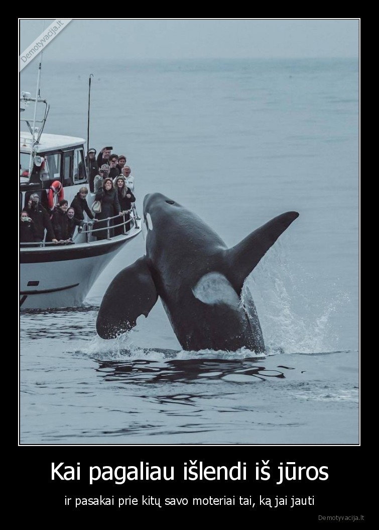 banginis,meileje,prisipazino,meile