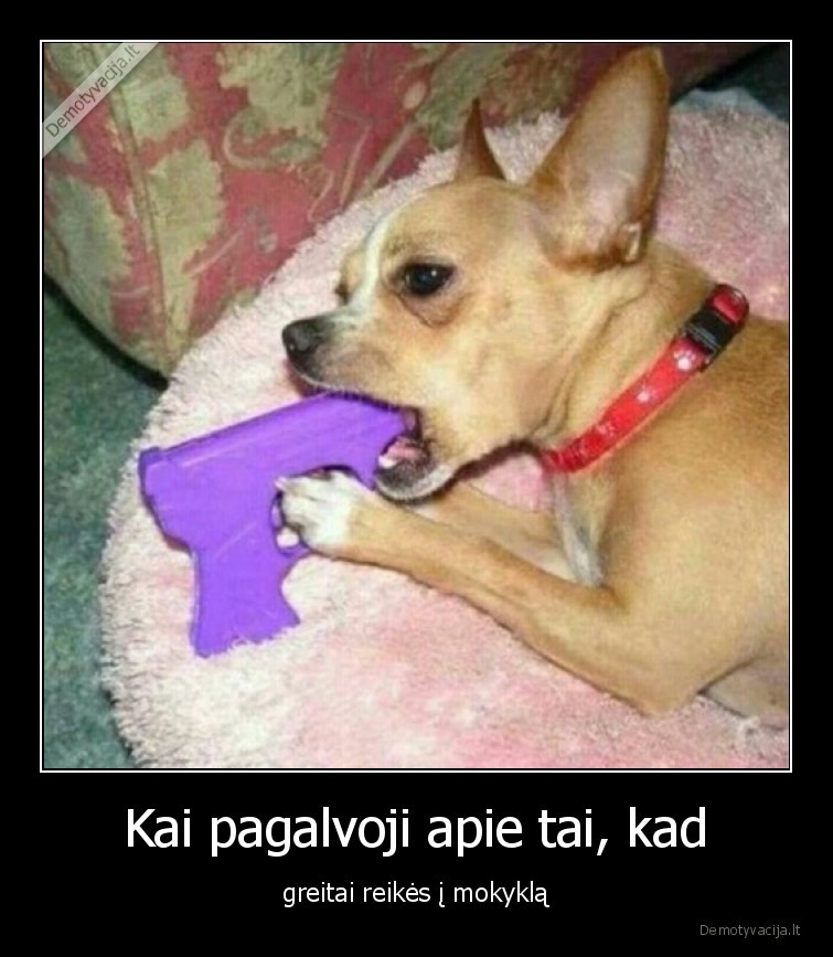 mokykla,karantinas,pandemija,vaikai