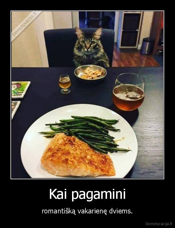 vakariene,romantika,kate,katinas