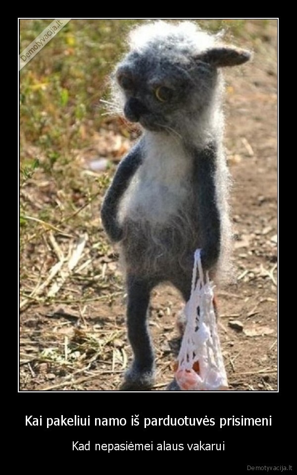 alus,nesiseka,nepasiseke