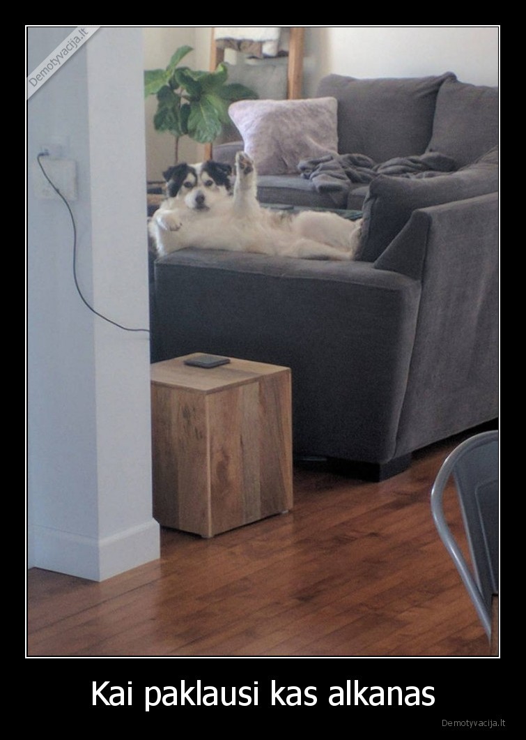 alkanas,suo,maistas,letena