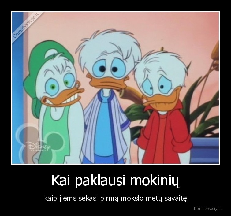 mokslo, metai,mokslas,mokiniai,mokykla