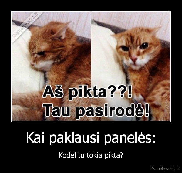 pikta,paneles,moterys,pms