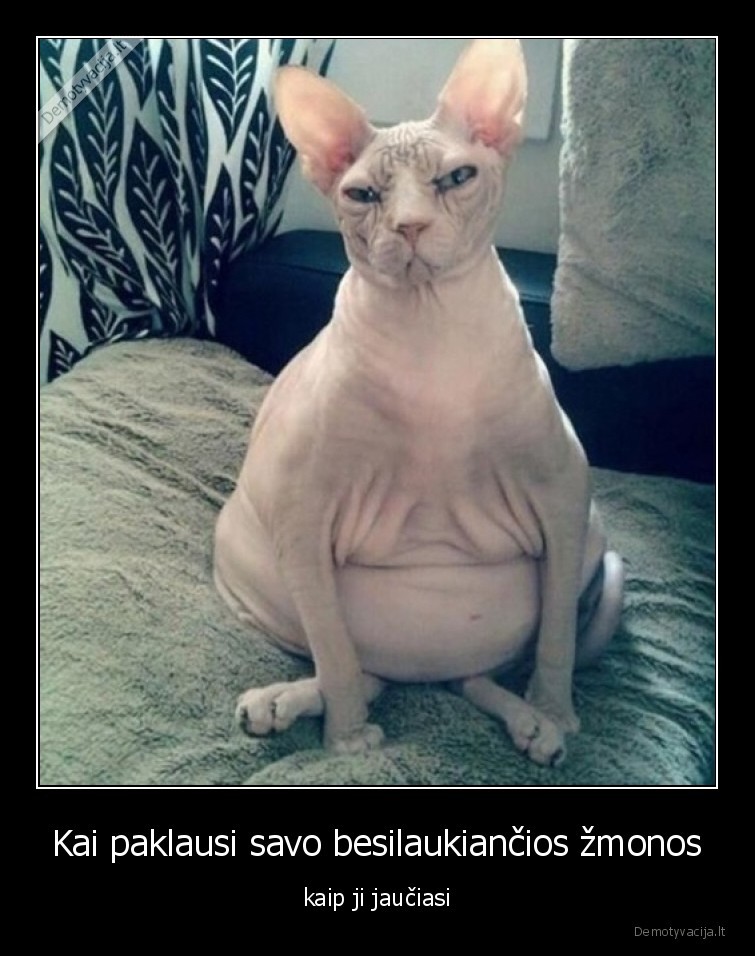 zmona,nescia,katinas