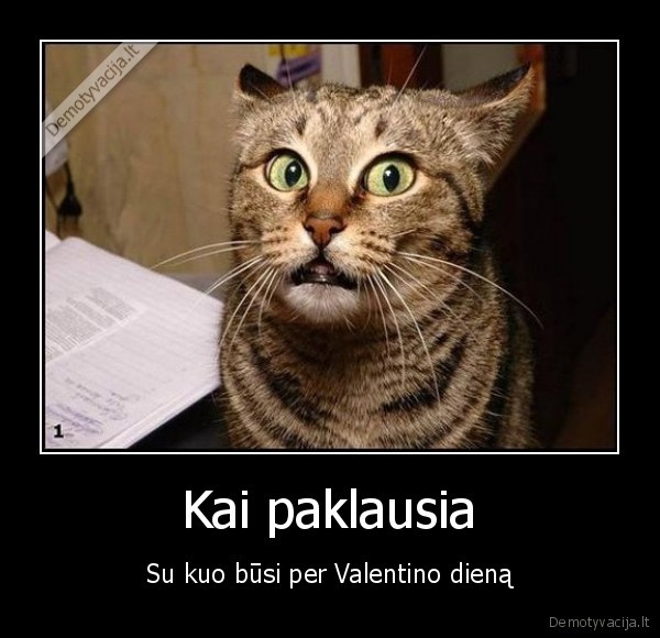 valentino, diena,pasimetes, katinas