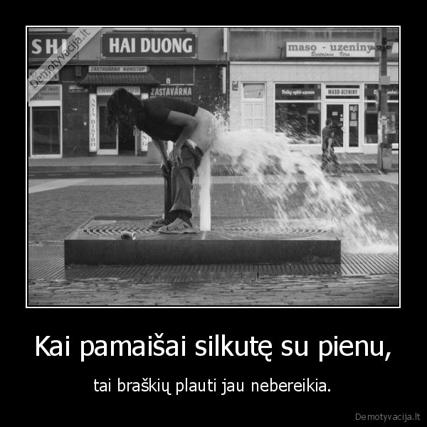 silke,pienas,braskes,tryda