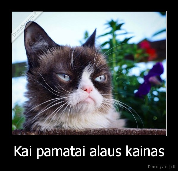 Kai pamatai alaus kainas